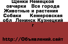 Щенки Немецкой овчарки - Все города Животные и растения » Собаки   . Кемеровская обл.,Ленинск-Кузнецкий г.